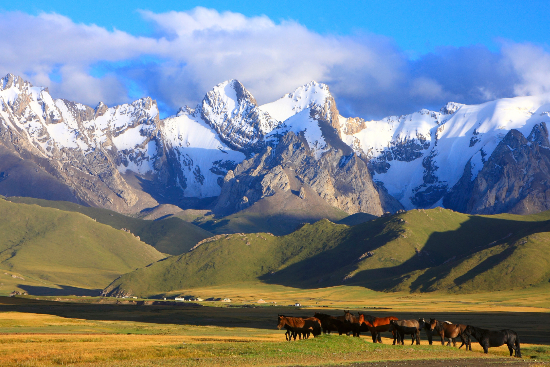 Horses graze in front of a mountain range